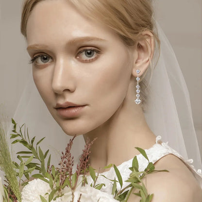 4 Carat Moissanite Zircon Earrings