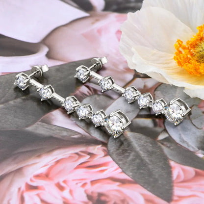 4 Carat Moissanite Zircon Earrings